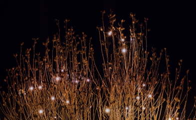 Outdoor-Lichtkonzepte Lichtplanungen im Aussenbereich